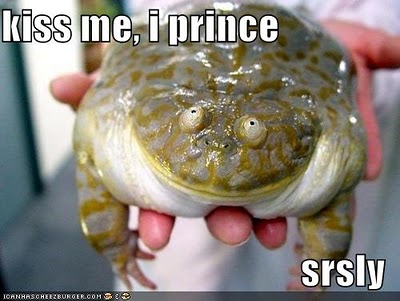 budgett's frog