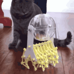 This Walking Hamster Contraption Will Destroy Us All